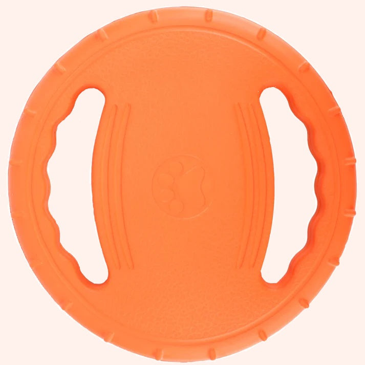 Brikly's Frisbee