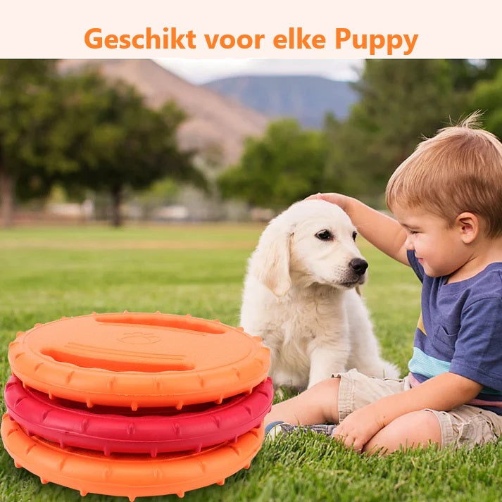 Brikly's Frisbee