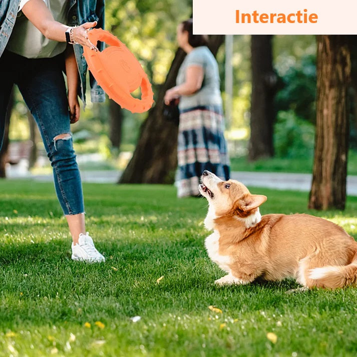 Brikly's Frisbee