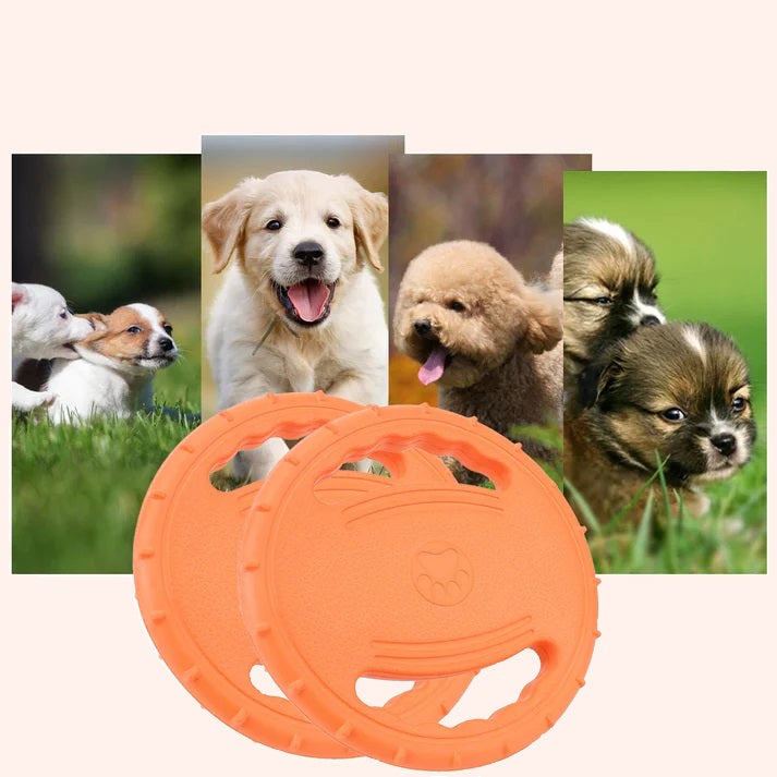 Brikly's Frisbee