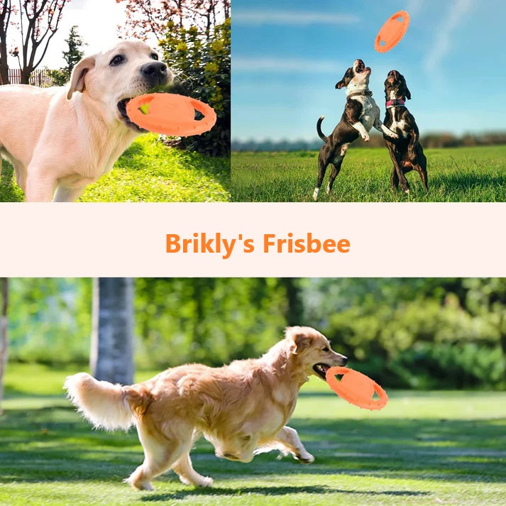 Brikly's Frisbee