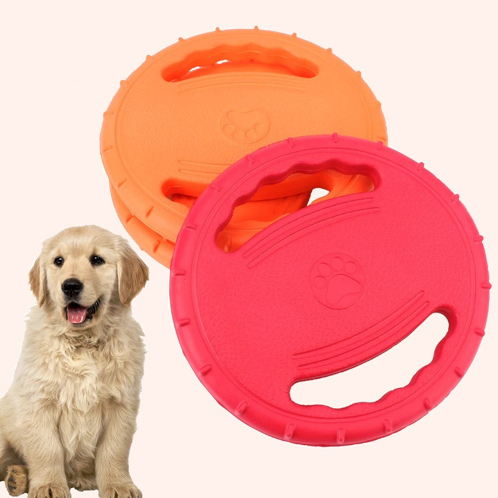 Brikly's Frisbee
