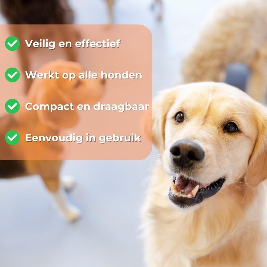 Brikly's Obedience Trainer