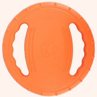 Brikly's Frisbee