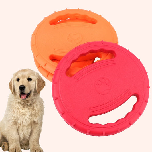 Brikly's Frisbee